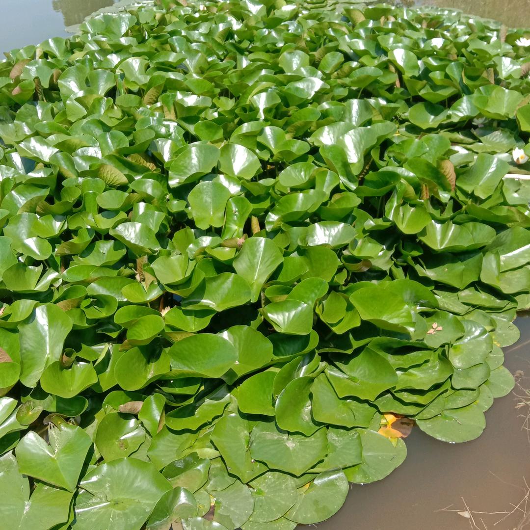 手机用户1234567890郎溪