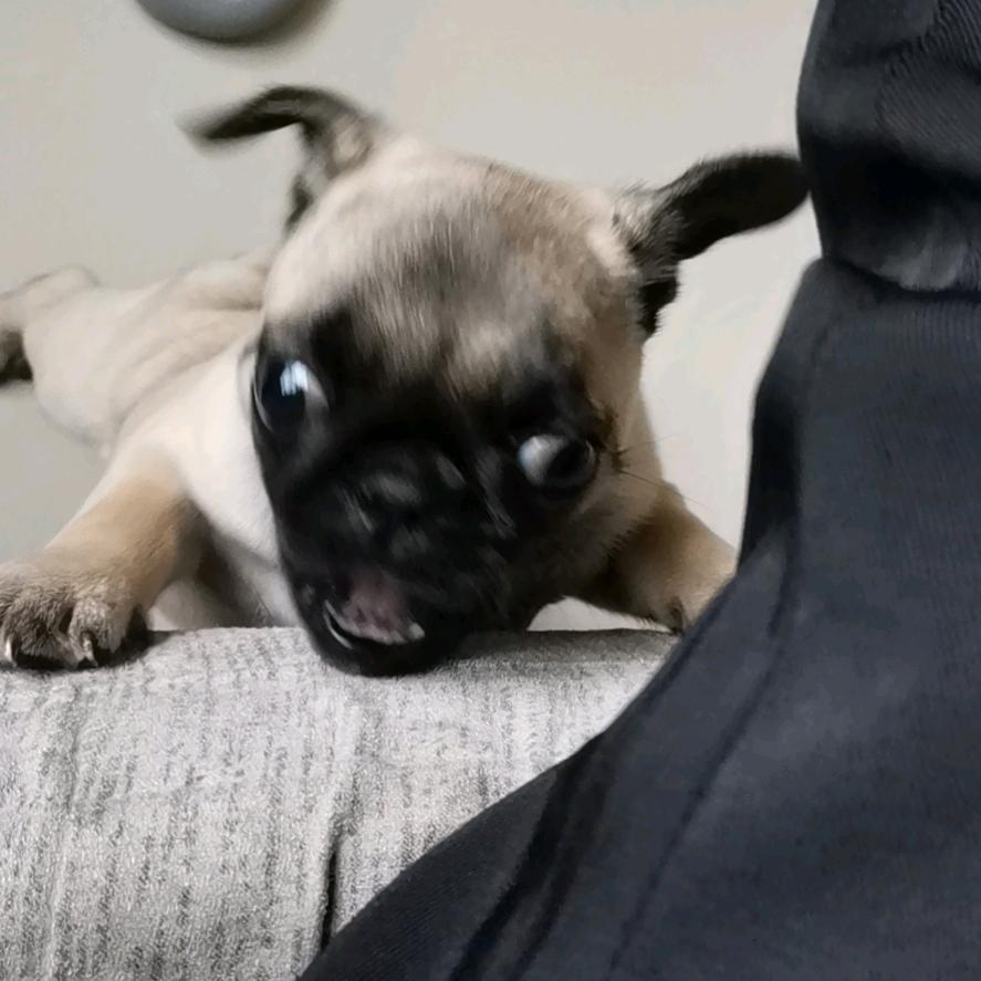 ☆廡№情￠→あ☆