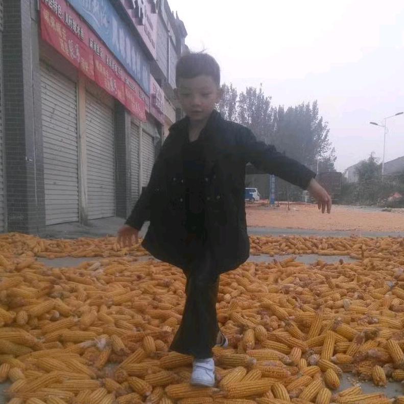 飞翔