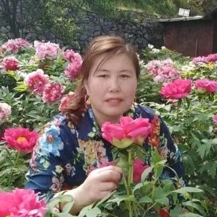 翠霞