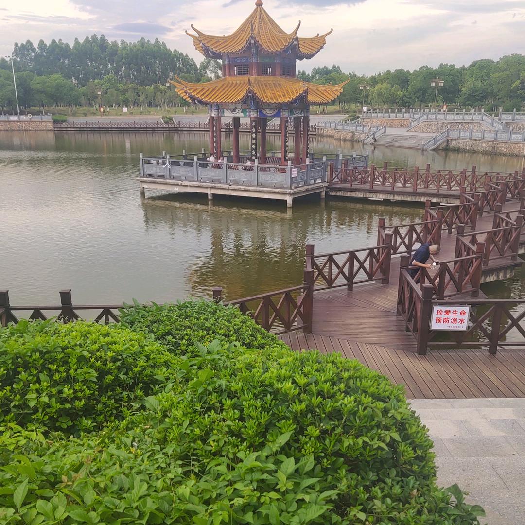 赣州小刘原生态山羊养殖基地