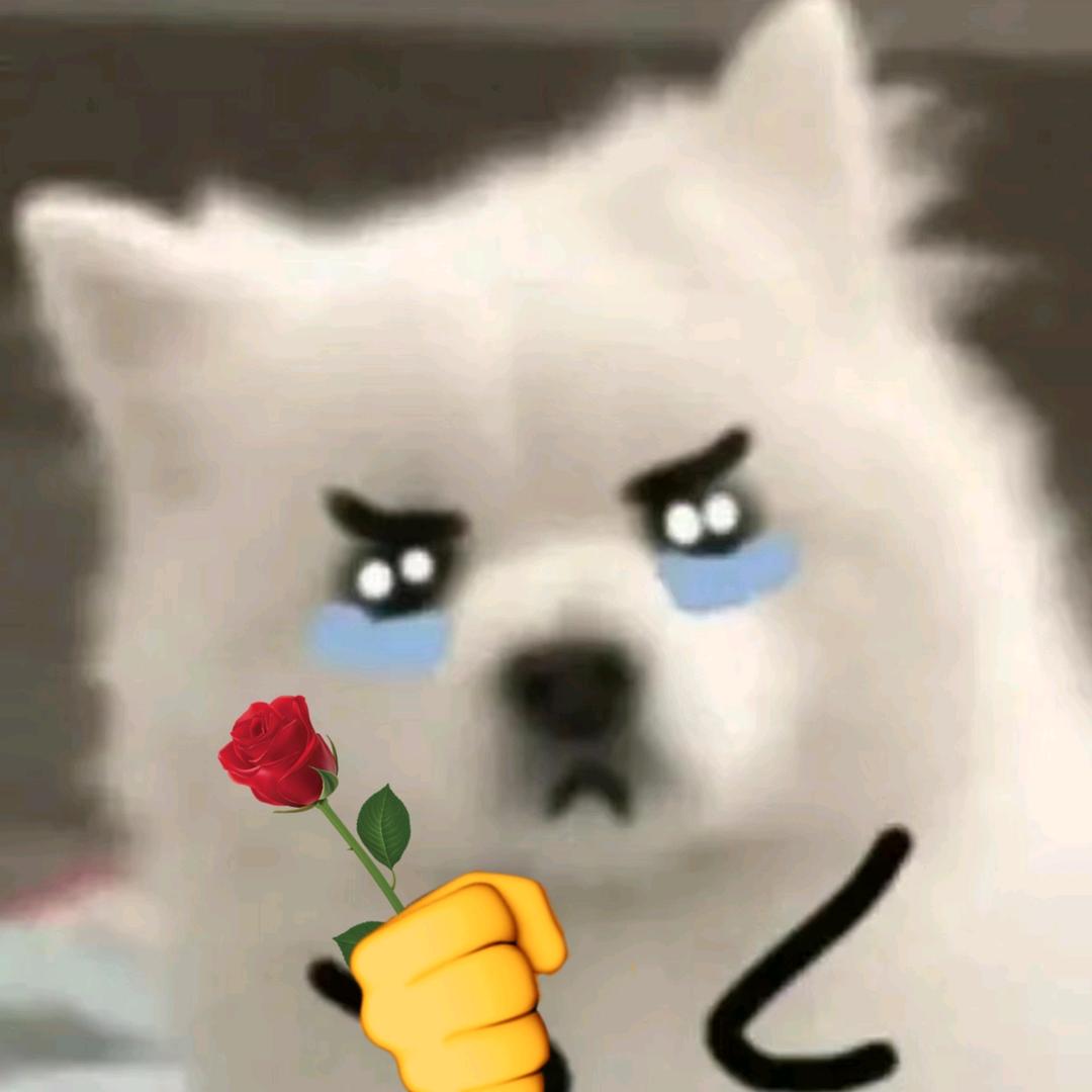 鹄忆九
