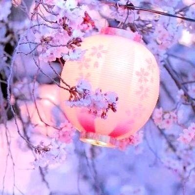 一路芬芳