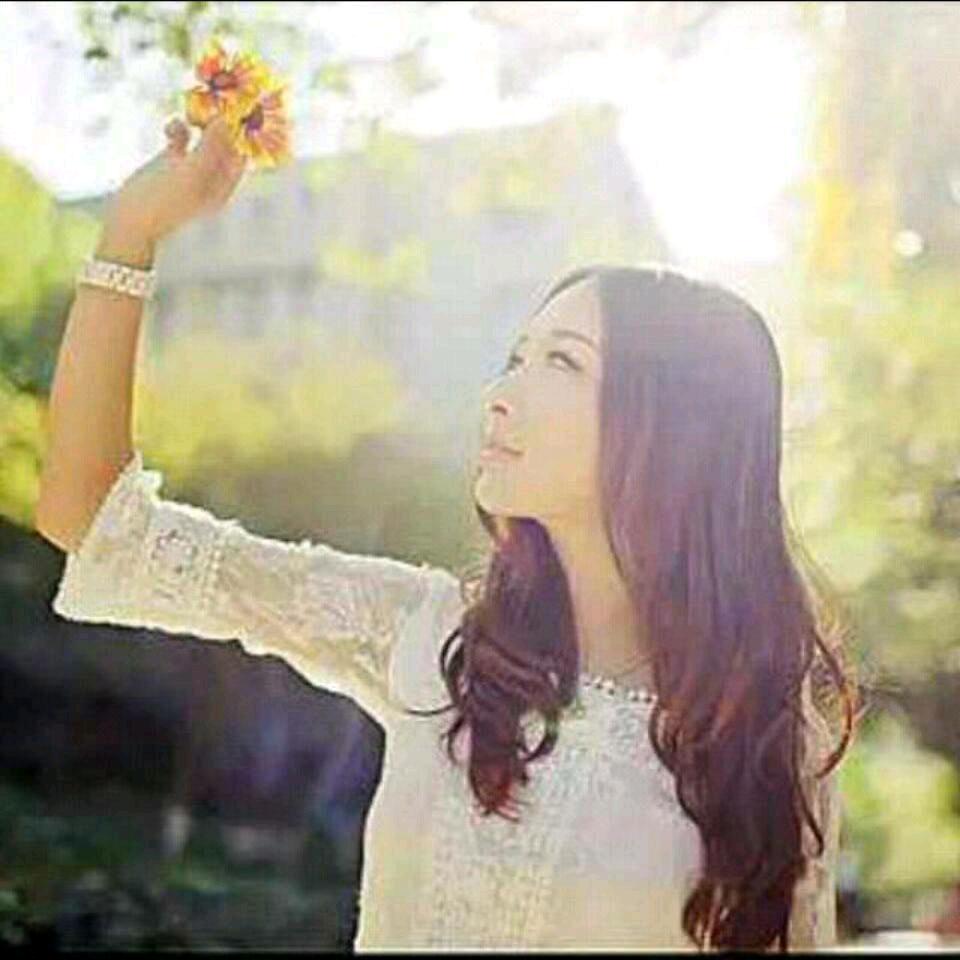 阳光下的向日葵，