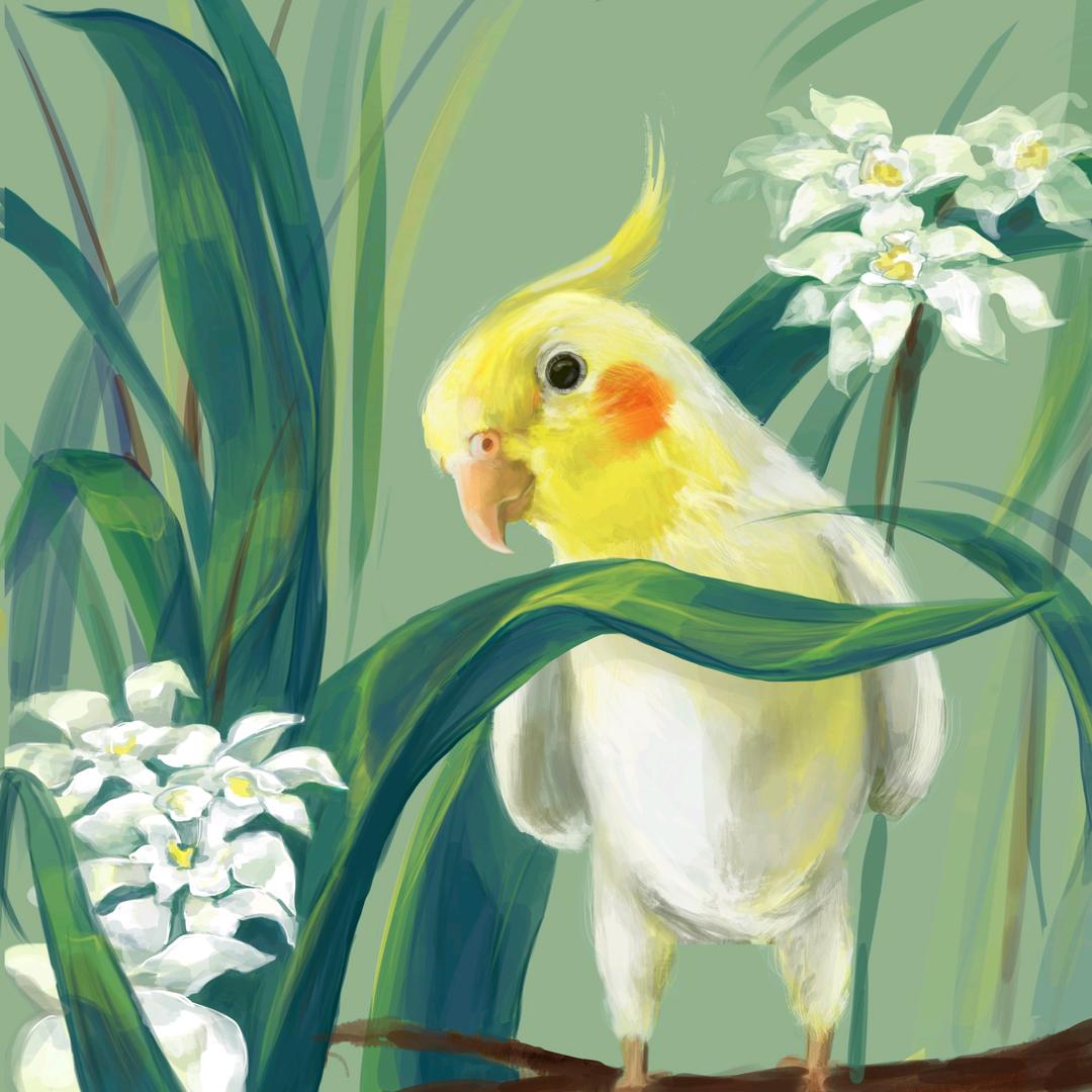 花庭