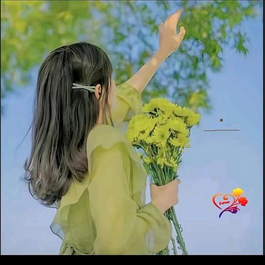 ☾浅柠半夏ꦿ࿚ᮨ້