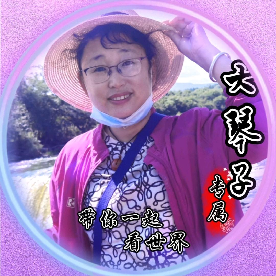 大琴子自驾游