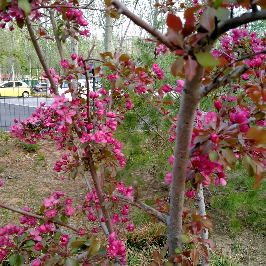 爱说爱笑的女人