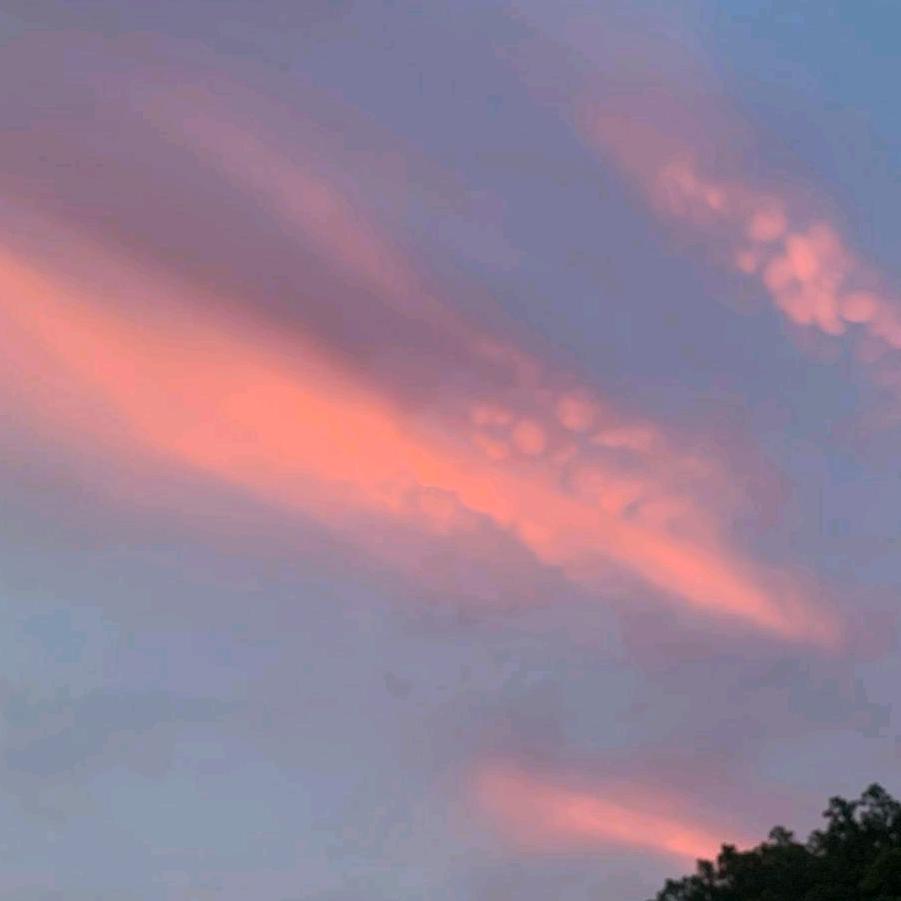强仔