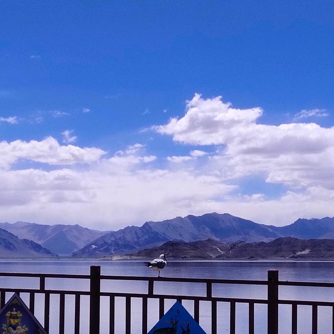 唯独只有你👉车👈