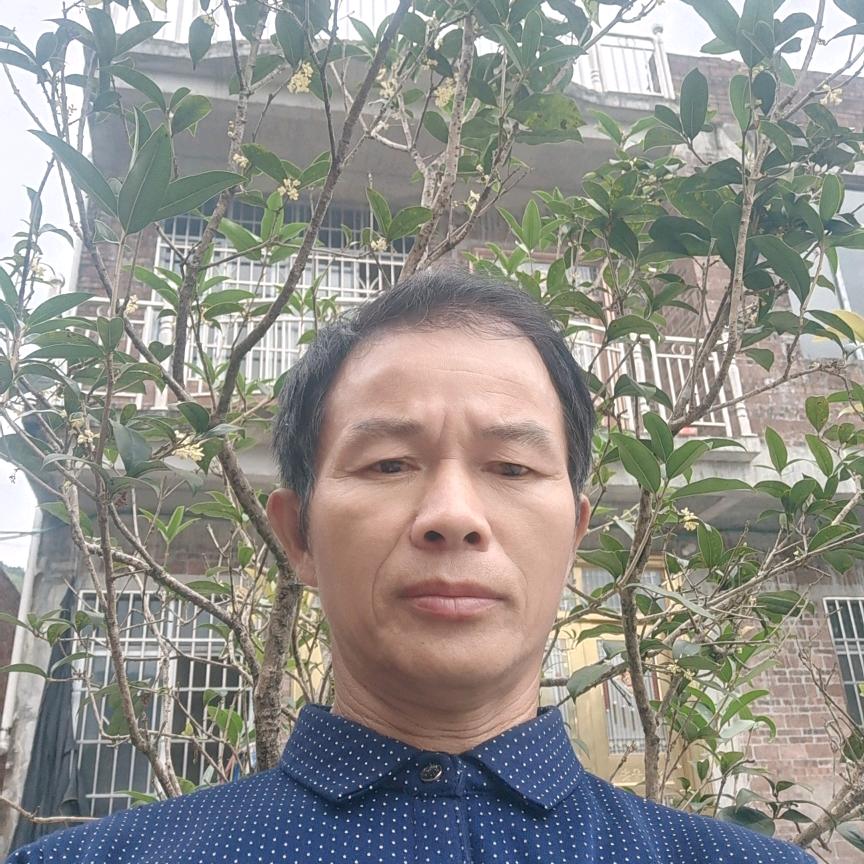 志高建工，随缘