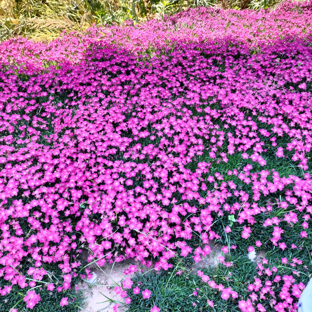 往事如烟，岁月如梭