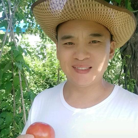 新哥东北粘糯玉米