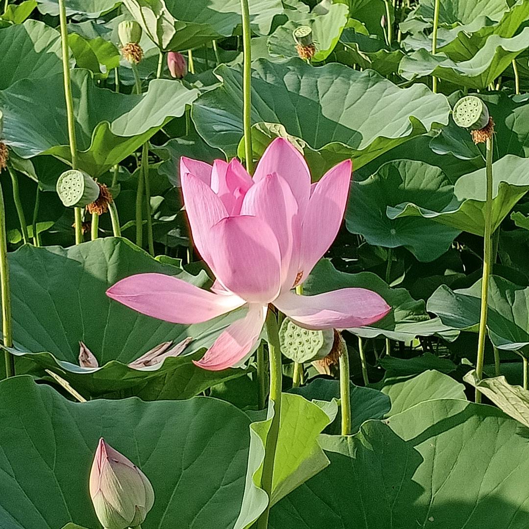 相要改变自己。