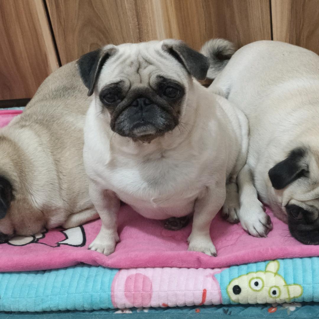 来钱麻麻，户外装备