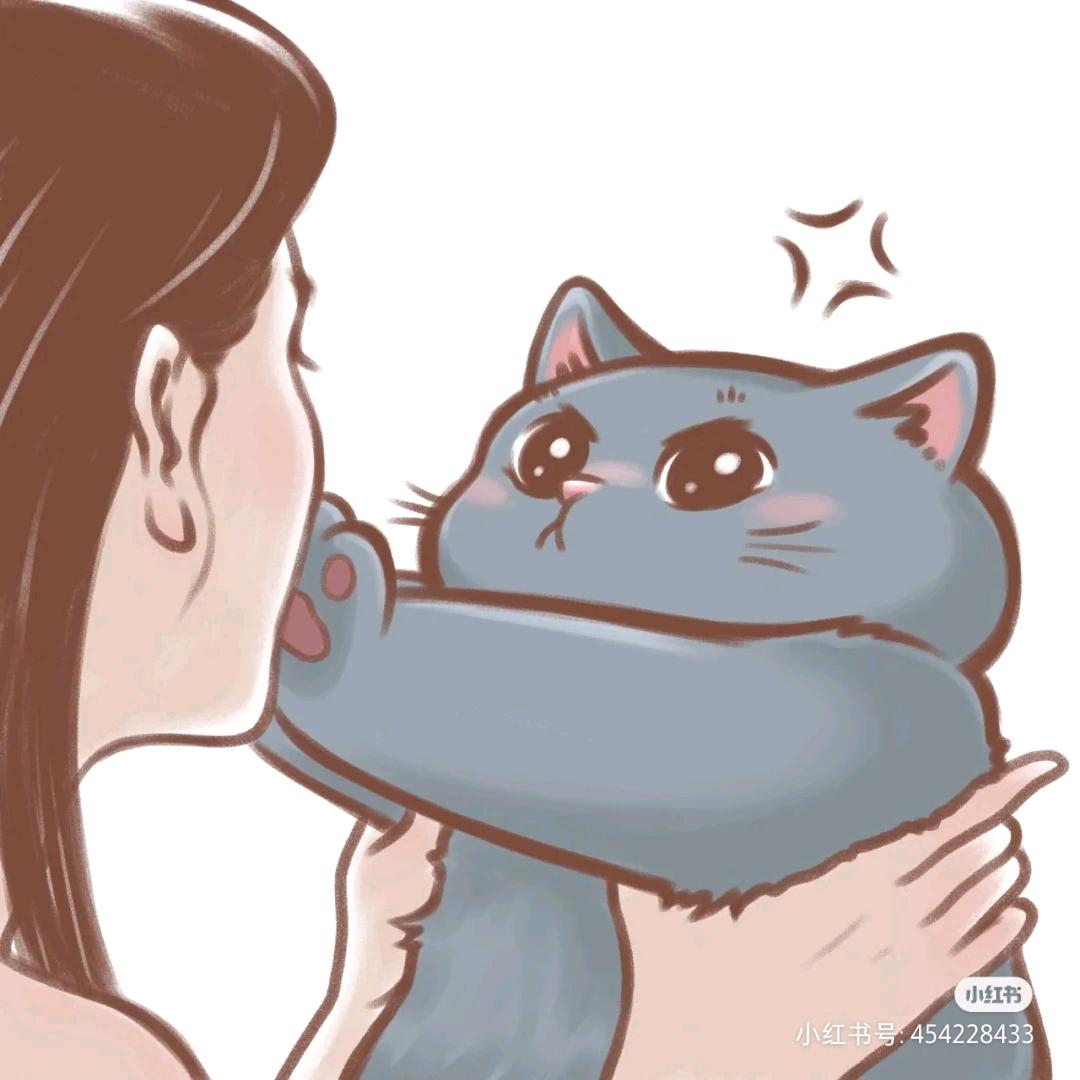 清欢渡