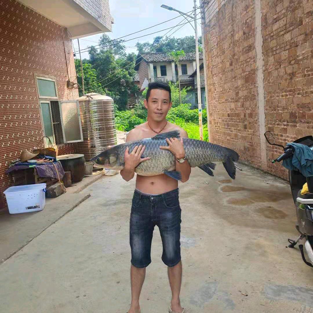 兵慌马乱的年代