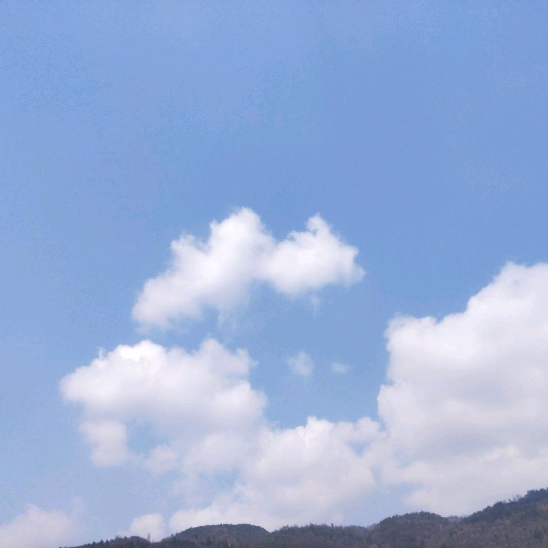 相知~~有意
