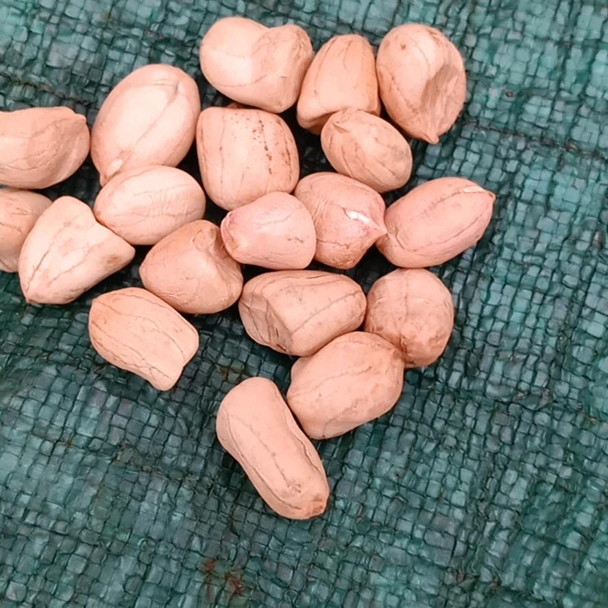 规矩做人,正经经商