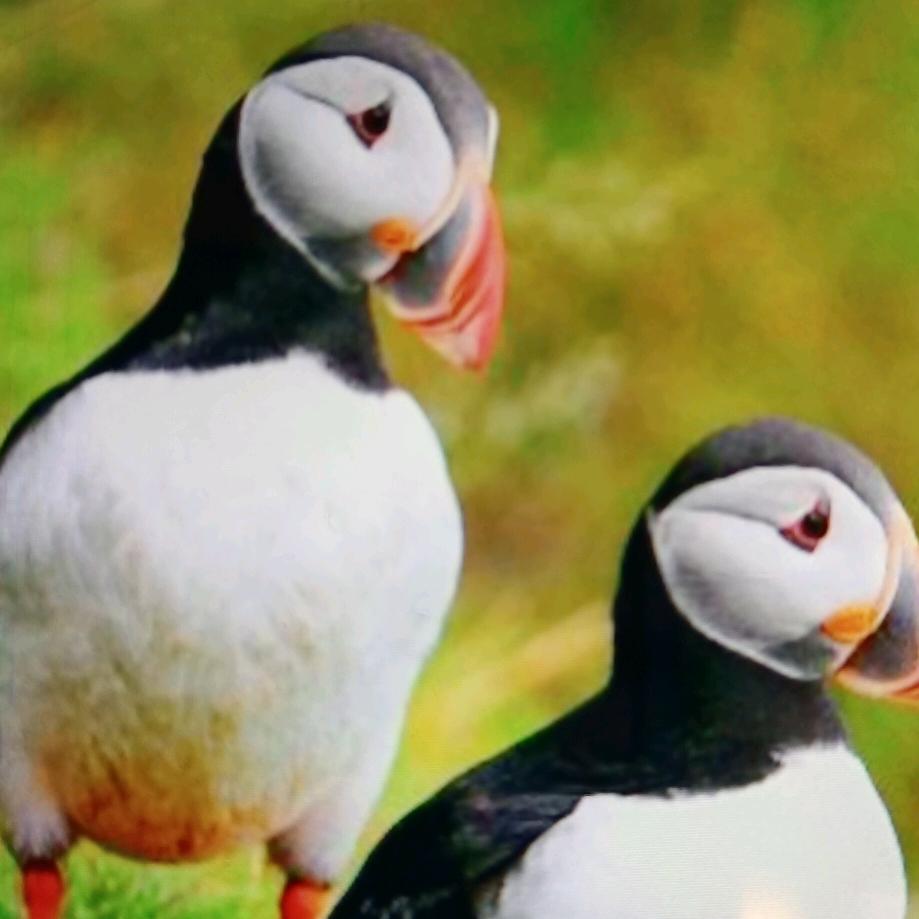 用户好人一生平安💎💎