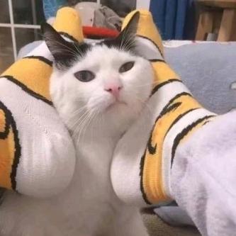 阿巴阿巴(๑˙ー˙๑)