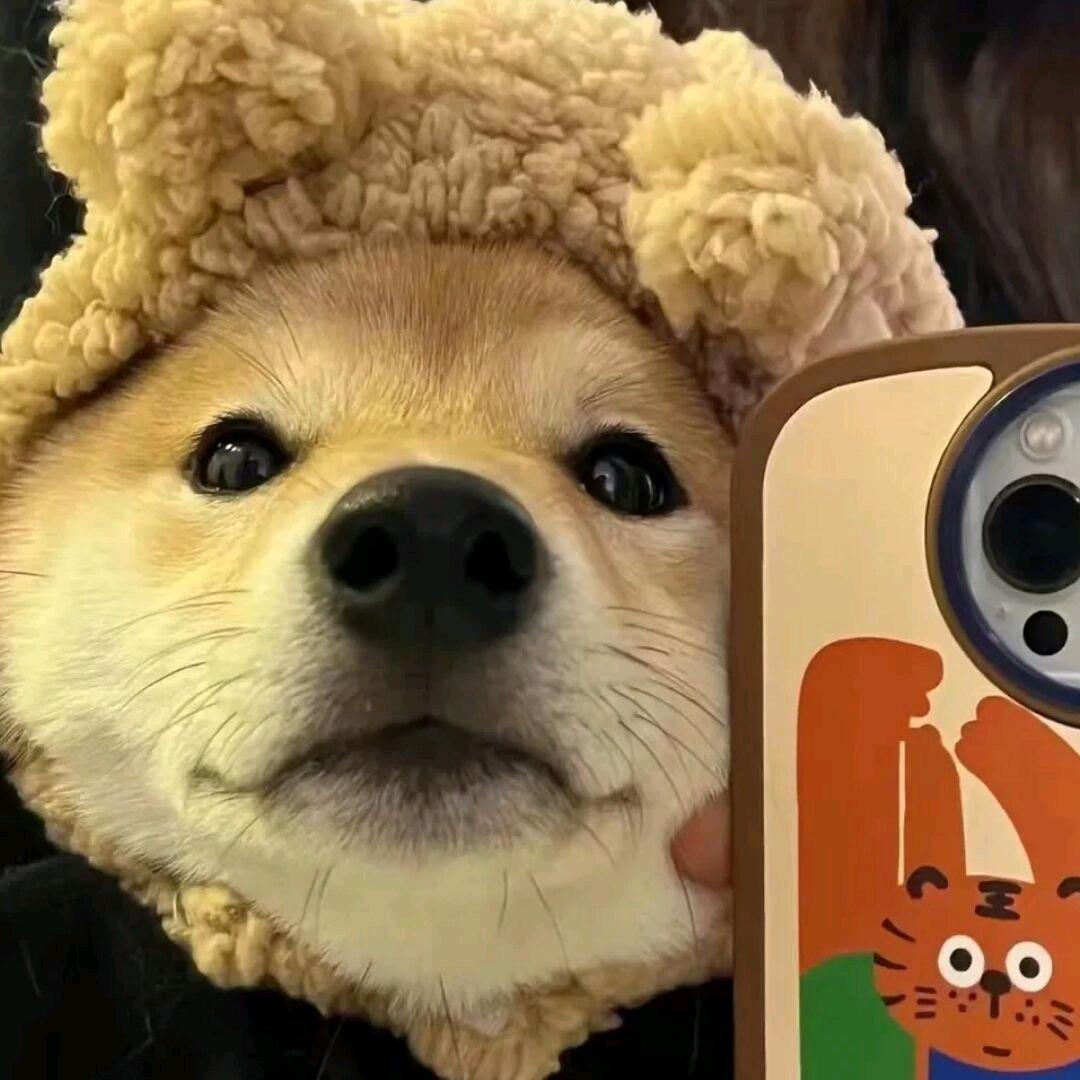嘘