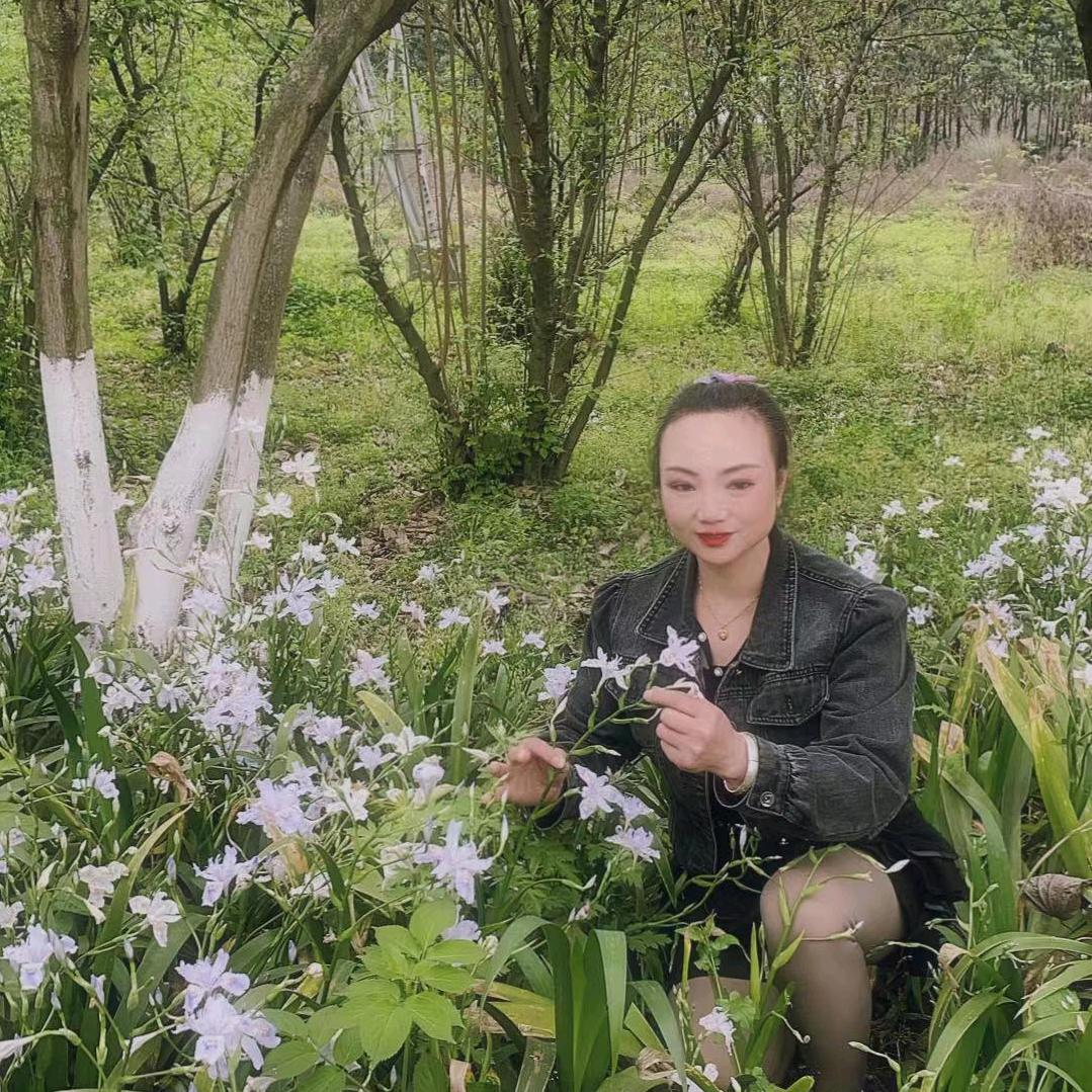 阳光下的芝麻
