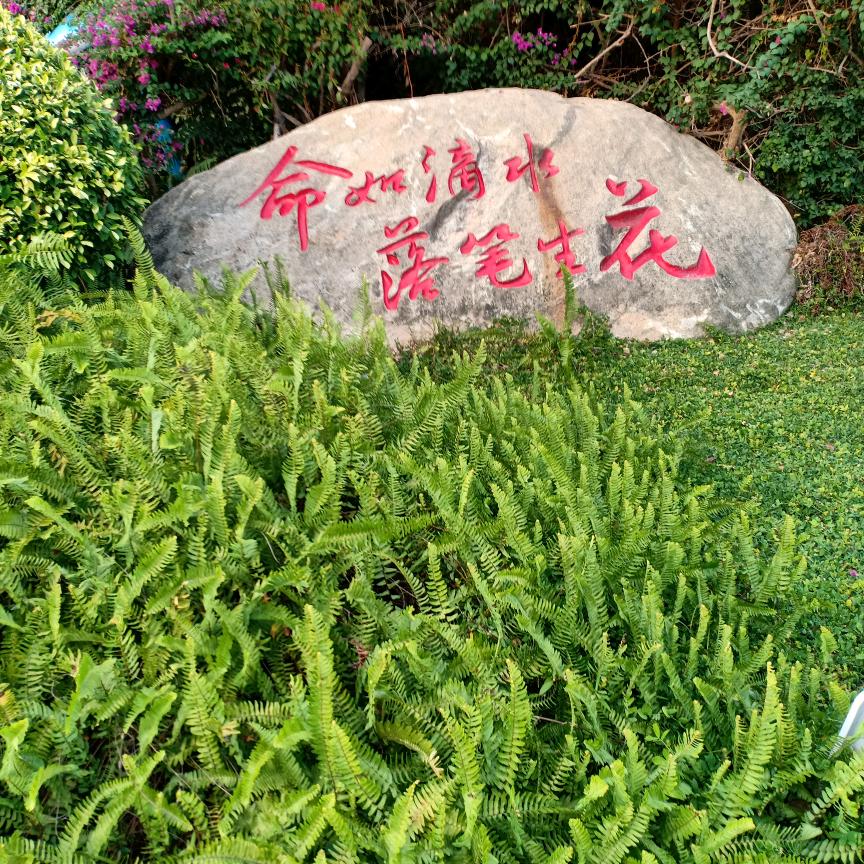 启帆扬航
