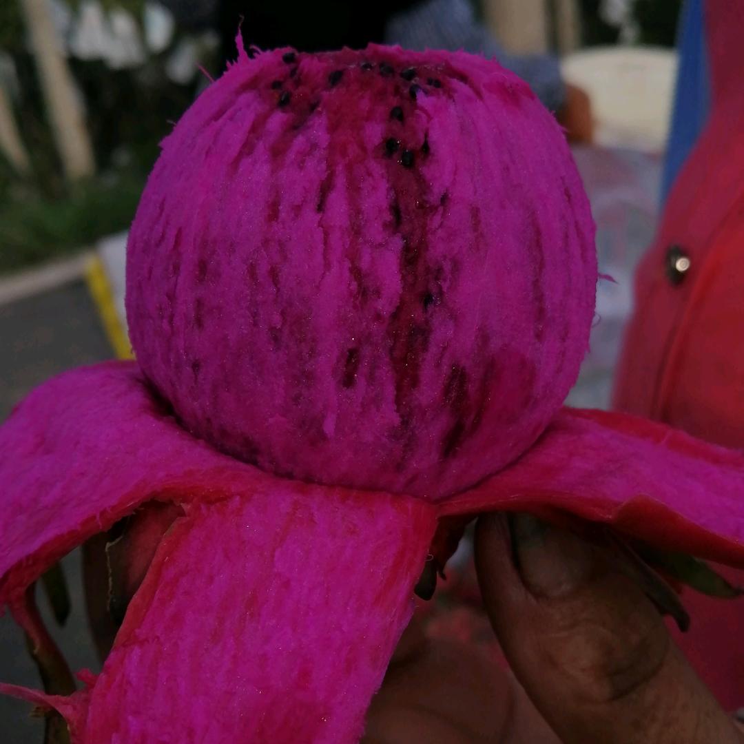 心若向阳，寒冬也暖