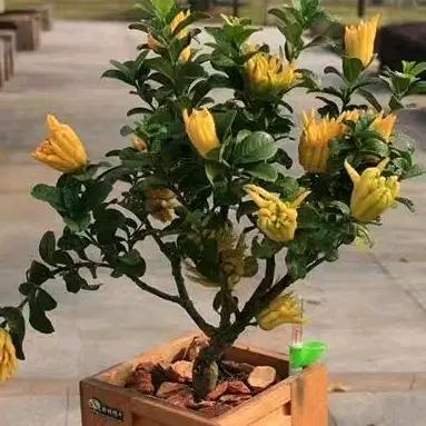 开心快乐，幸福常在