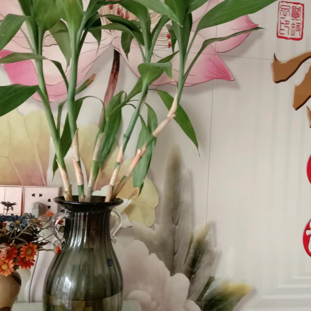 珍儿