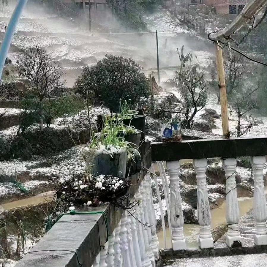 远离酒文化——小马
