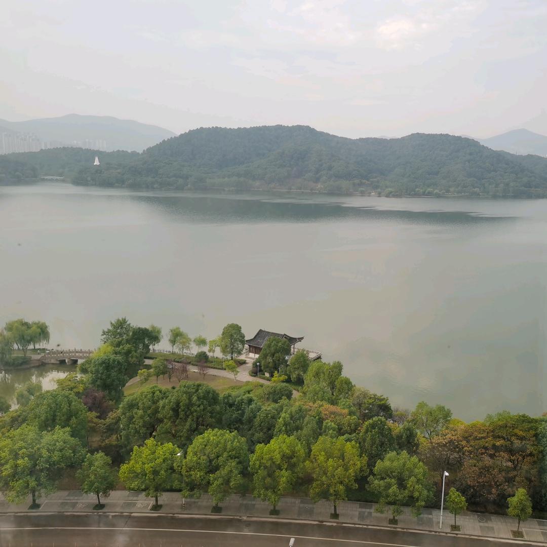 生活的乐趣
