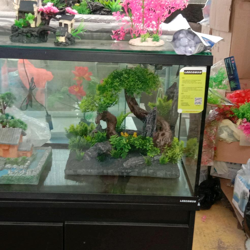 伊染年华，