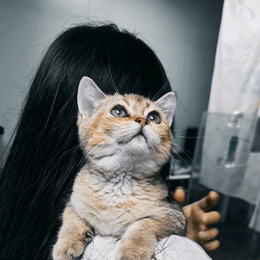 糊涂涂（没服过）