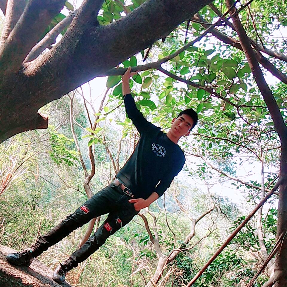 专业安装围挡活动板房