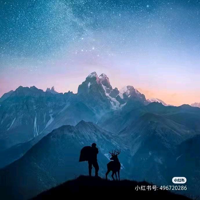 沈现行