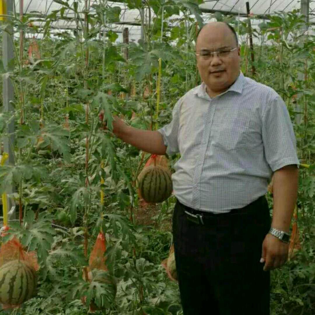 追忆青春