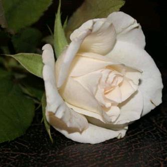 ღ᭄ꦿ꯭小ঞ陆ꦿ᭄💞别乱撞ℳ🥀ꦿ꯭