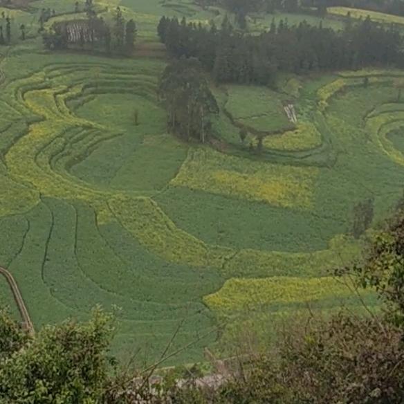 罗平阿岗胜鑫电焊