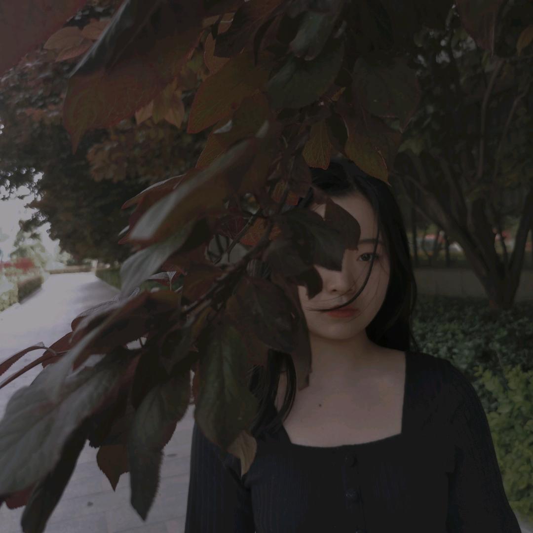 🍒秦小白🍒