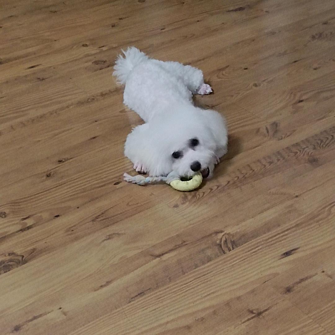 嘴角(ღ♡‿♡ღ)上扬