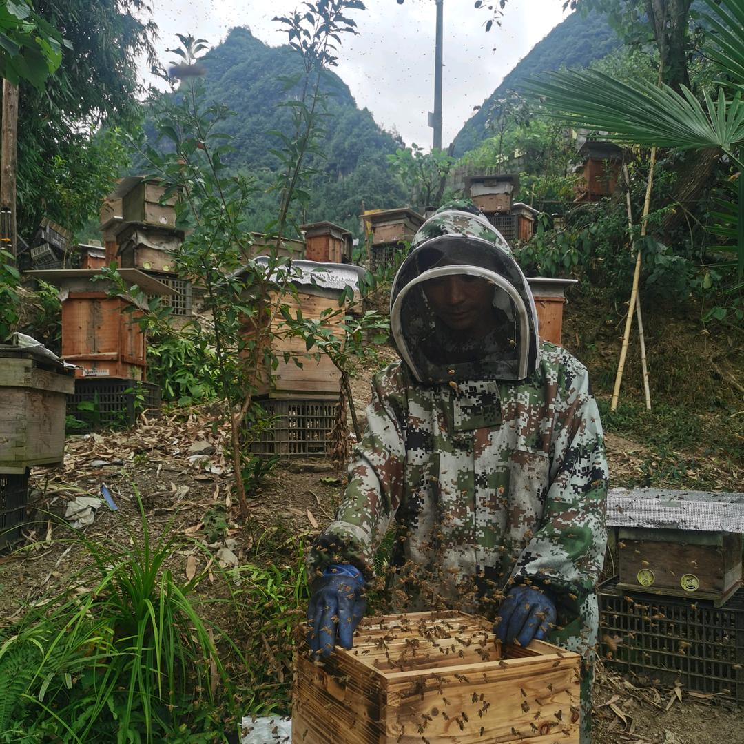 山区蜂子哥生态养殖土产