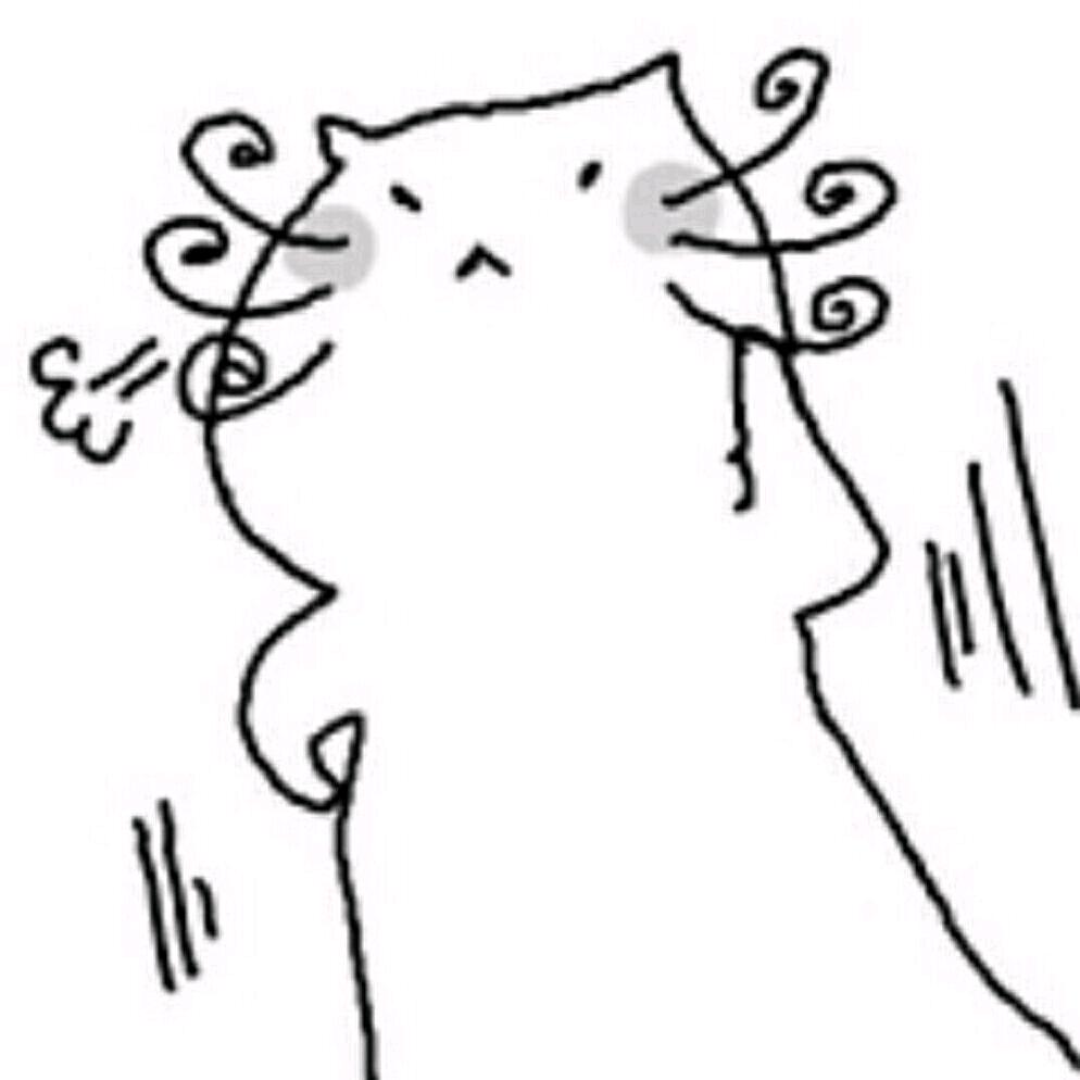 星回节