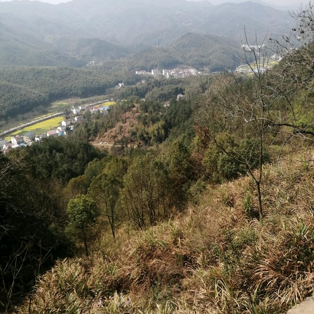 紅塵過客