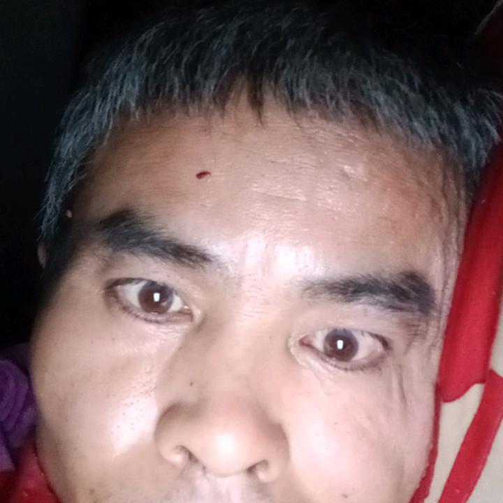 北方的狼