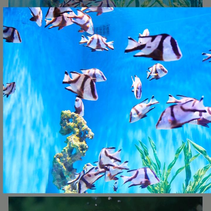 陶师傅流水摆件