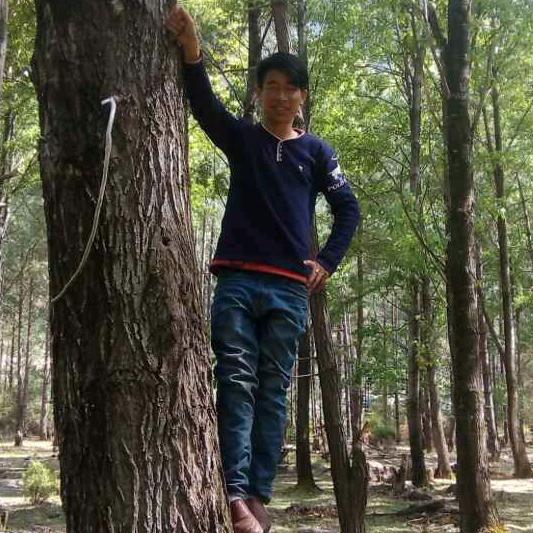 拇