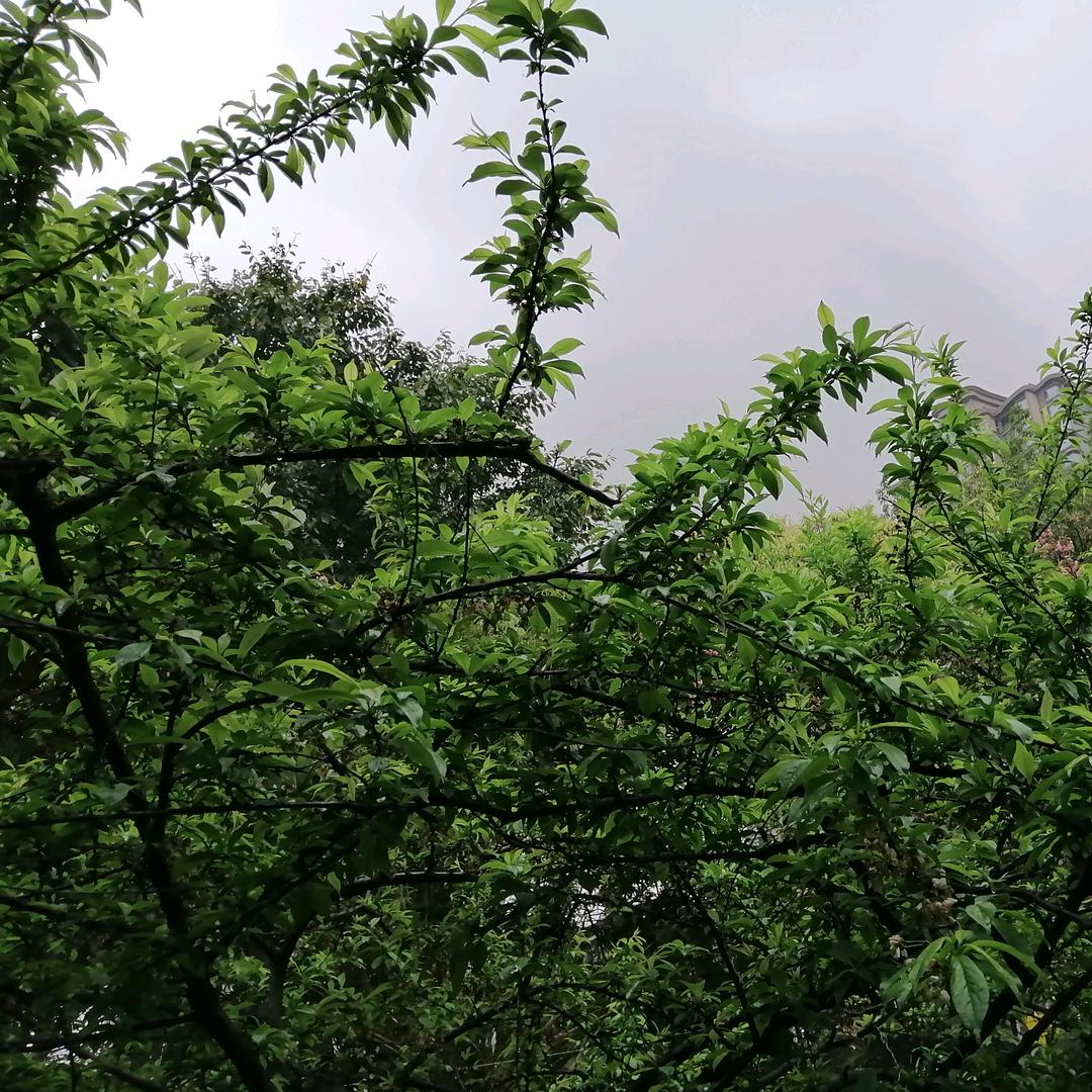 心态好一切都好