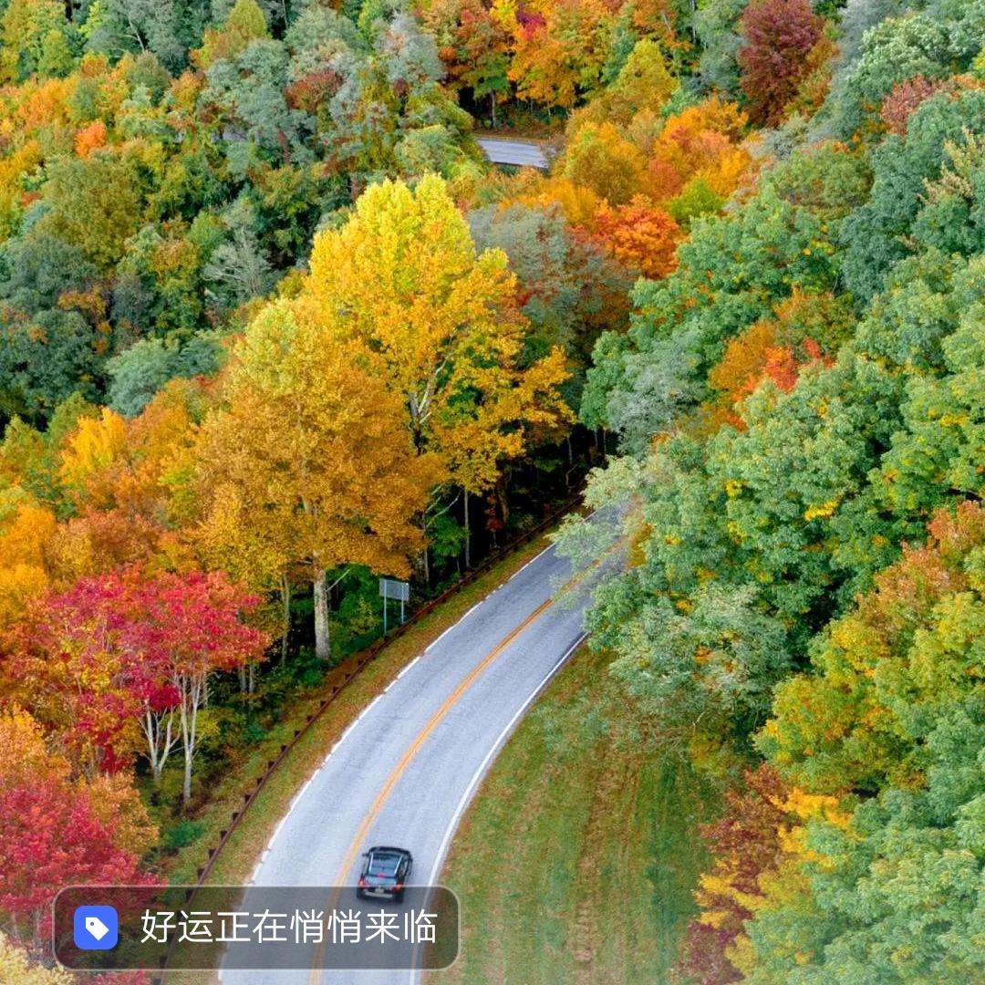 世嘉娜家居